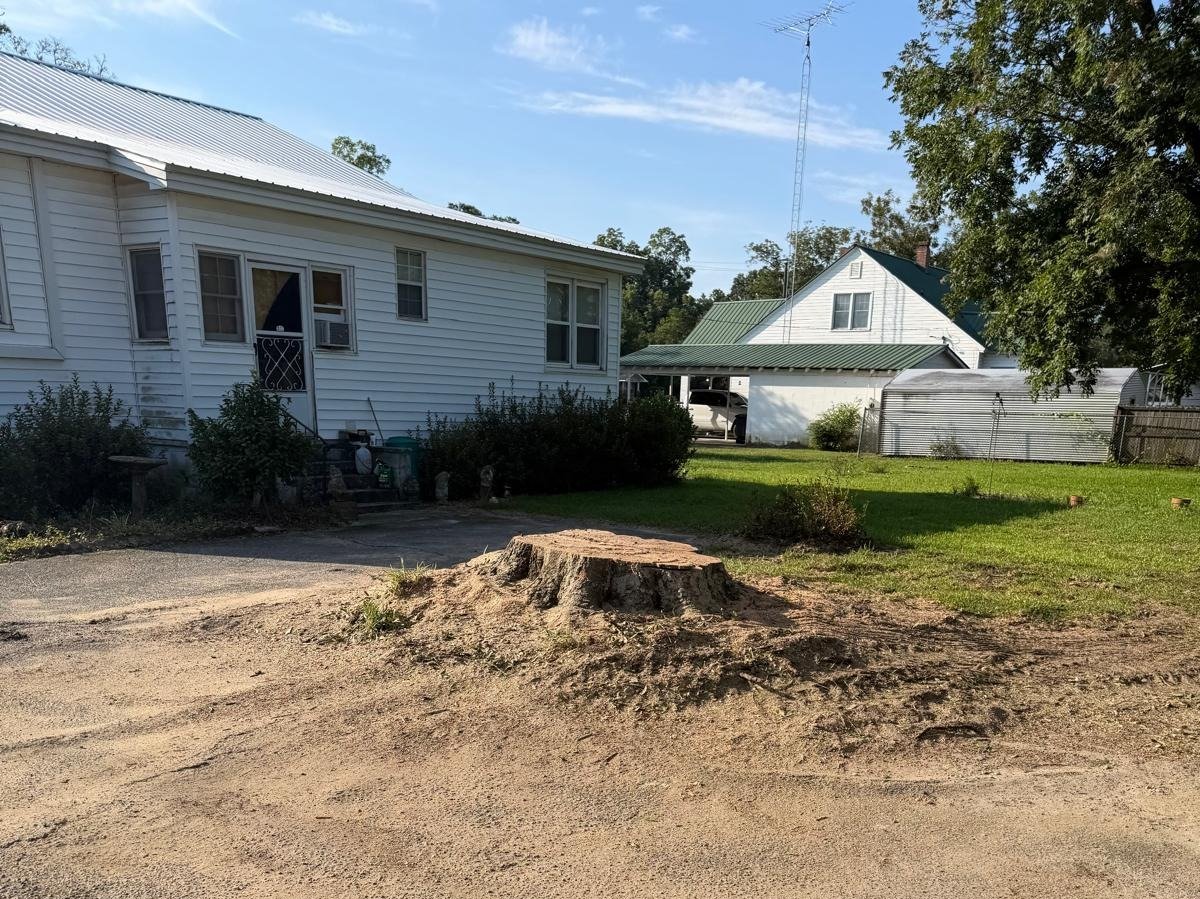 El Costeño Tree Service LLC